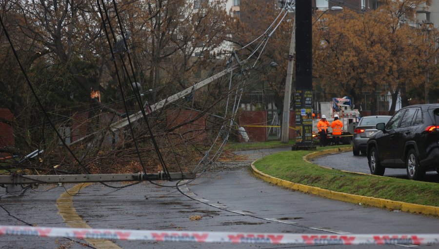 Conductor en estado de ebriedad derribó postes y un árbol en Ñuñoa: sector quedó sin suministro eléctrico