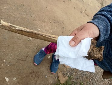 Fémur hallado en sitio arrasado por el megaincendio en Viña del Mar fue remitido al SML en Santiago para determinar su ADN