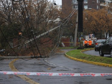Conductor en estado de ebriedad derribó postes y un árbol en Ñuñoa: sector quedó sin suministro eléctrico