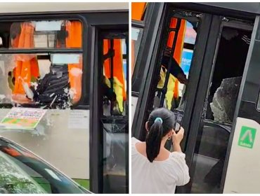 Registro capta feroz riña entre conductor y chofer de micro en plena Av. Libertad de Viña