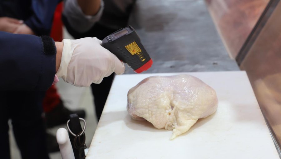 1,6 toneladas de carne ha decomisado la Seremi de Salud de Valparaíso en semanas previas a Fiestas Patrias