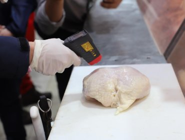 1,6 toneladas de carne ha decomisado la Seremi de Salud de Valparaíso en semanas previas a Fiestas Patrias