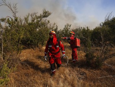 Refuerzan trabajo para prevenir y combatir incendios forestales en ad portas del inicio de la temporada en la región de Valparaíso