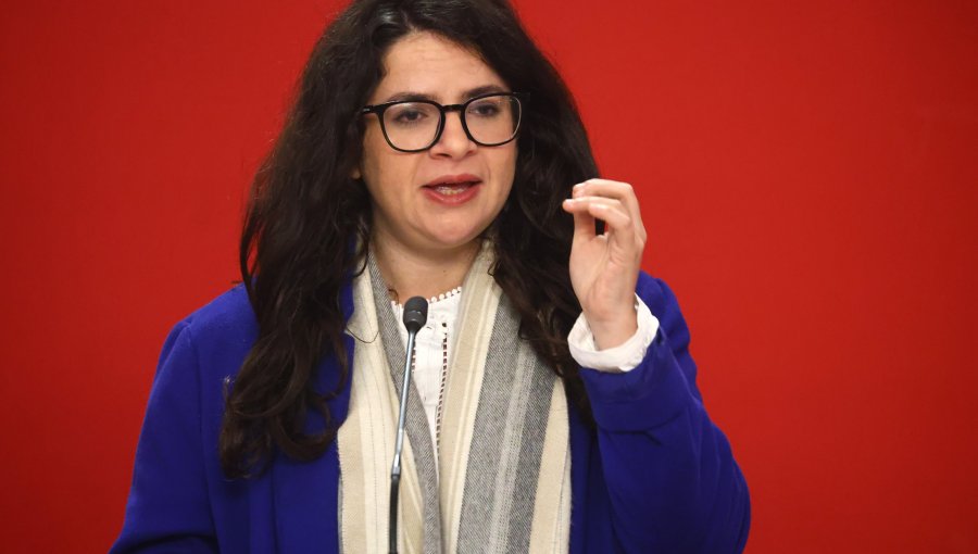 "Nadie se embaraza para abortar": La frase del Gobierno que marca el tono del debate sobre aborto legal