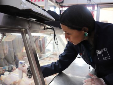 Más de 2 toneladas de alimentos han sido decomisados en fiscalizaciones de la Seremi de Salud por Fiestas Patrias en la V Región