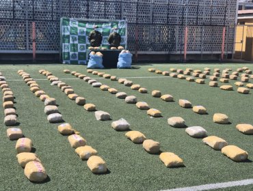 Decomisan más de 400 kilos de marihuana en el sector de Tocorpuri en San Pedro de Atacama
