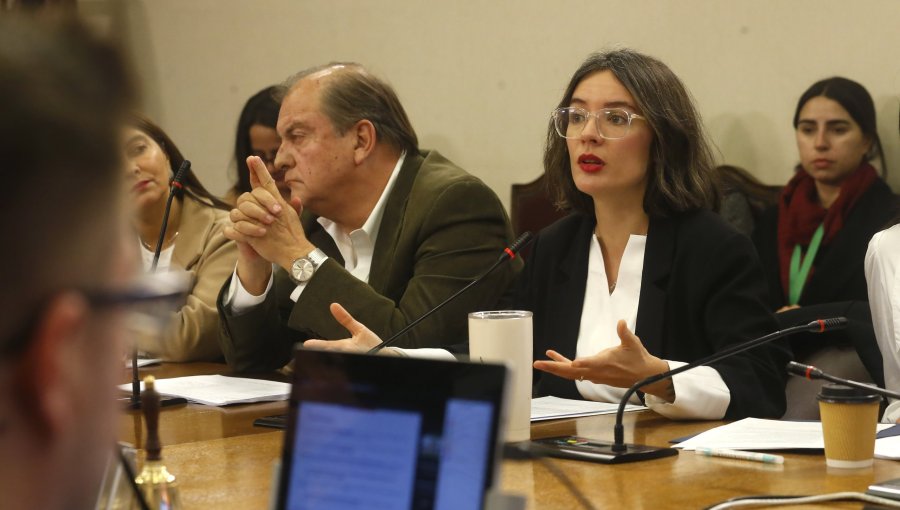 Vocera de Gobierno dijo "no compartir" la renuncia de Francisco Vidal a la dirección de TVN