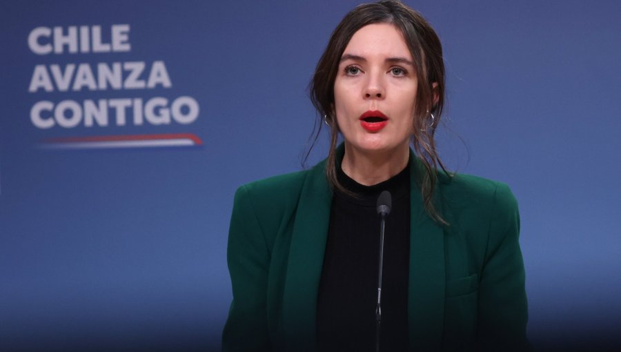 Diputados UDI acusan a ministra Vallejo de actuar “como si fuera parte del comando de Jara”