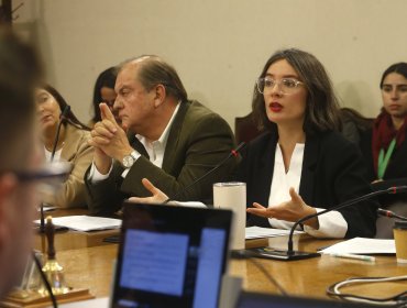 Vocera de Gobierno dijo "no compartir" la renuncia de Francisco Vidal a la dirección de TVN