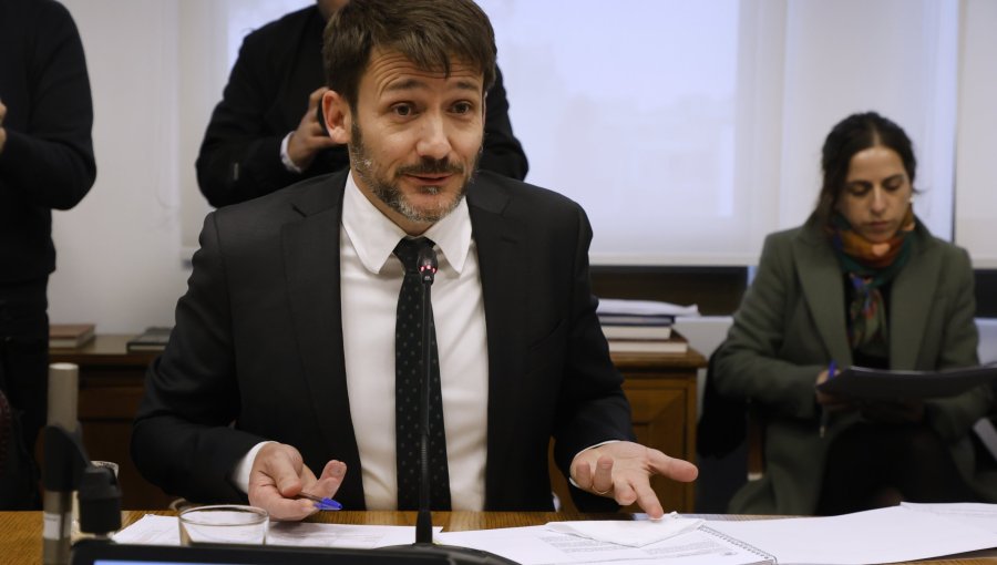 Pardow denuncia maniobras para bloquear subsidio eléctrico y acusa "lobby" de las empresas