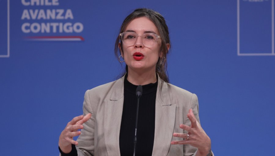 Vallejo rechaza exigencia de la UDI de excluir a Elizalde en debate sobre multa al voto obligatorio