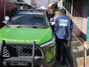Ciudadano colombiano fue víctima de un violento ataque armado en La Pintana: recibió seis disparos