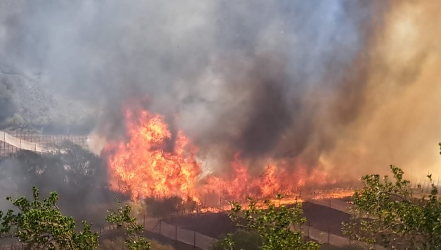 Mensajería SAE: Senapred ordena evacuar Paihuano por avance de incendio forestal