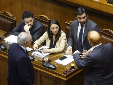 Consenso en el Senado: Gobierno y oposición valoran "reglas claras" sobre voto obligatorio