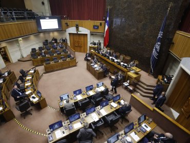 Senado aprueba multa para quienes no concurran a votar: proyecto vuelve a la Cámara de Diputados