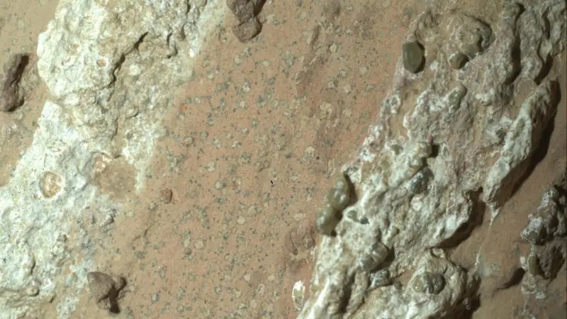 Encuentran posibles señales de vida pasada en Marte en rocas con "manchas de leopardo"