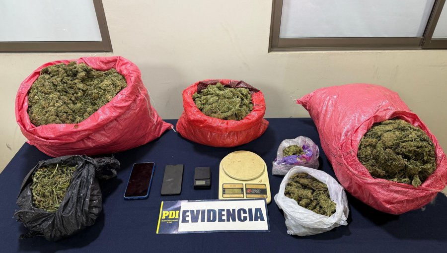 Detienen a integrantes de un clan familiar dedicado al tráfico de drogas en Cabildo: Incautaron 7 kilos de cannabis sativa