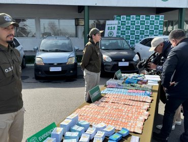 Desbaratan red de prestamistas ilegales: 15 personas detenidas por delitos de usura, extorsión y lavado de activos