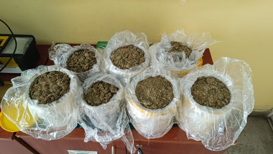 Dos sujetos son detenidos por transportar siete tarros con marihuana en San Bernardo