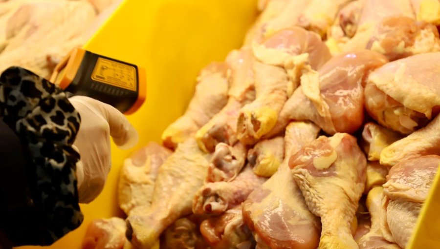 Refuerzan fiscalizaciones en carnicerías de Quillota para resguardar la seguridad alimentaria ad portas de las Fiestas Patrias
