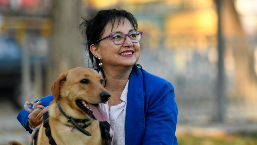 Diputada Marzán recalca importancia de contar con un Registro de Condenados por Maltrato Animal tras macabro caso en Viña