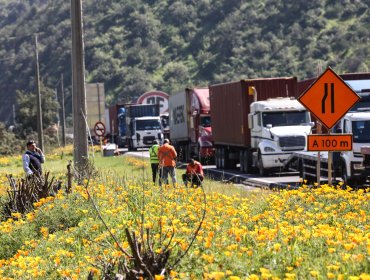 Gremio de camioneros cuestiona restricciones al tránsito vehicular durante Fiestas Patrias