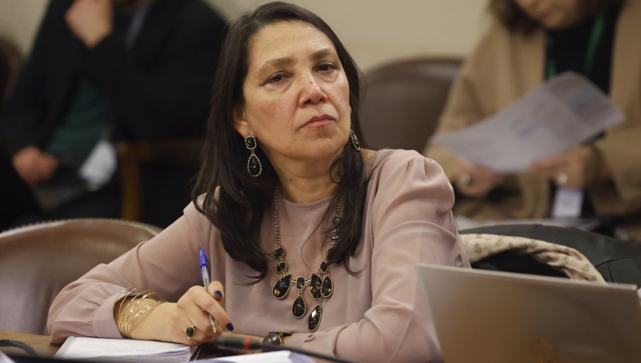 Ministra Lobos hizo un llamado al mundo político a "no contaminar" debates parlamentarios con las elecciones