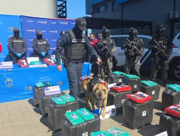 Incautan en San Antonio cerca de 850 kilos de marihuana creepy colombiana que pretendía ser enviada a República Dominicana