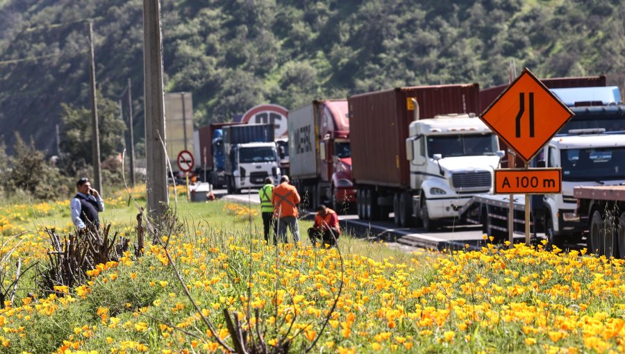 Gremio de camioneros cuestiona restricciones al tránsito vehicular durante Fiestas Patrias