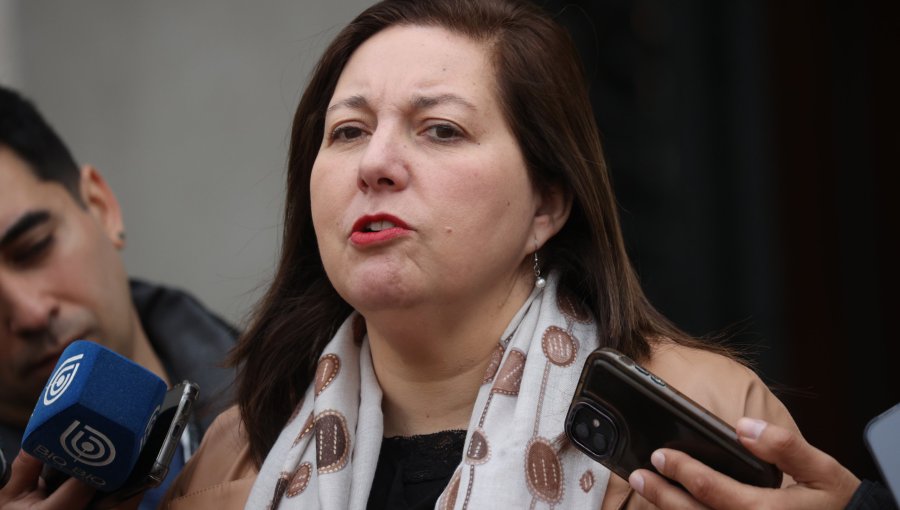 Senadora Vodanovic defiende proceso electoral y niega persecución contra Daniel Jadue y Ximena Rincón