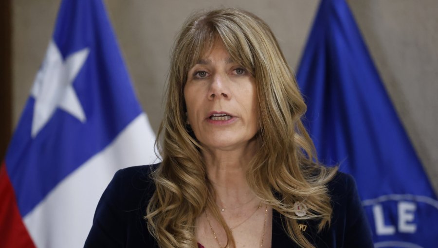 Rincón acusó a Vodanovic y Huenchumilla de "no tener coraje" tras fallo del Tricel que rechazó su candidatura senatorial