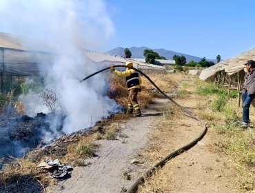 Quemas agrícolas fueron restringidas hasta el 30 de abril de 2026 en la región de Valparaíso