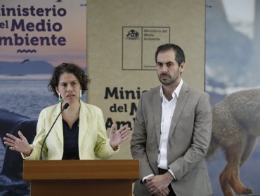 Gobierno recalca que fallo de la Corte Suprema por Dominga no es definitivo