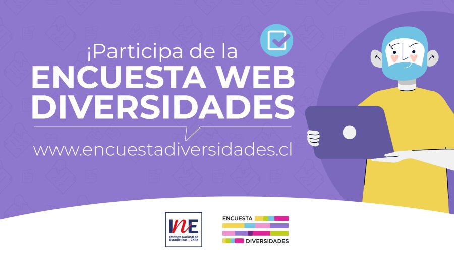 Instituto Nacional de Estadísticas continúa aplicando la Encuesta Web Diversidades hasta septiembre