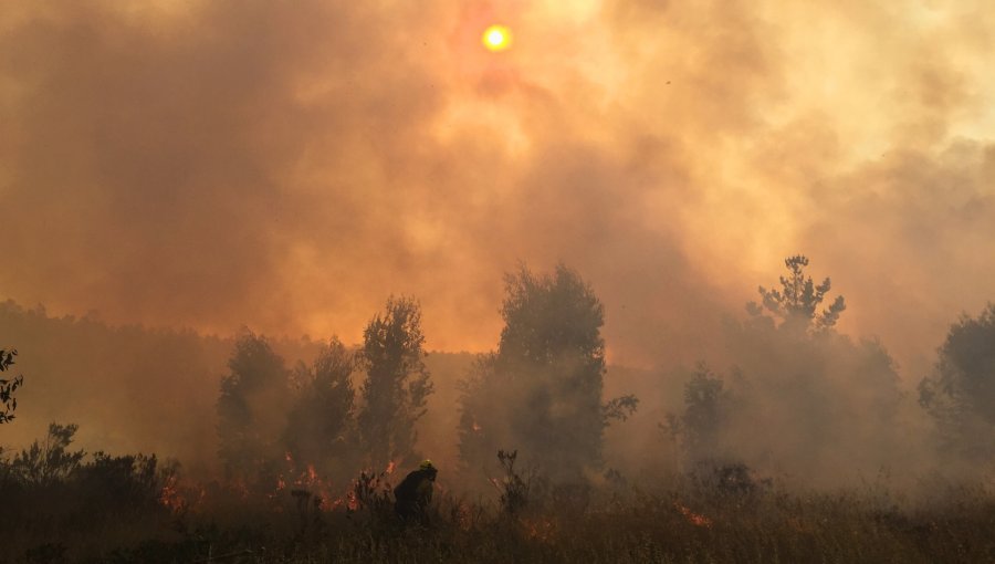 Conaf llama a prevenir incendios forestales durante las Fiestas Patrias en la V Región