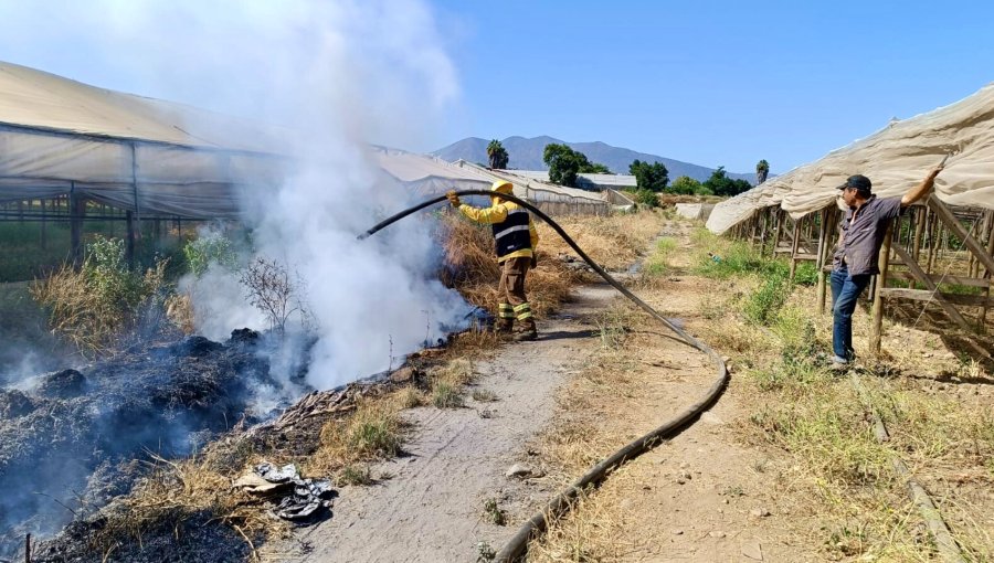 Quemas agrícolas fueron restringidas hasta el 30 de abril de 2026 en la región de Valparaíso