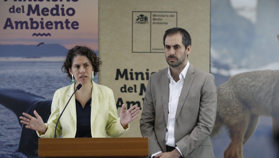 Gobierno recalca que fallo de la Corte Suprema por Dominga no es definitivo