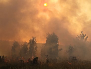 Conaf llama a prevenir incendios forestales durante las Fiestas Patrias en la V Región