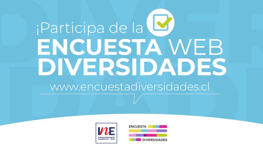 INE continúa aplicando la Encuesta Web Diversidades hasta septiembre
