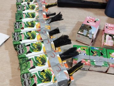 Aduanas de Los Libertadores incautó 50 aves que estaban ocultas en cajas de jugos