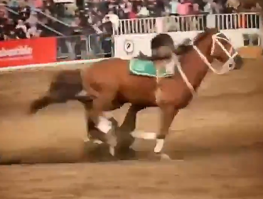 Jinete del Cuadro Verde sufre grave accidente durante presentación en La Reina