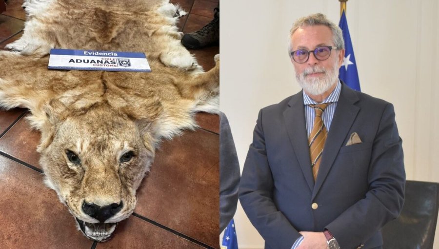 Rechazan sobreseimiento de ex embajador chileno en causa por contrabando de especies silvestres en el Puerto de San Antonio