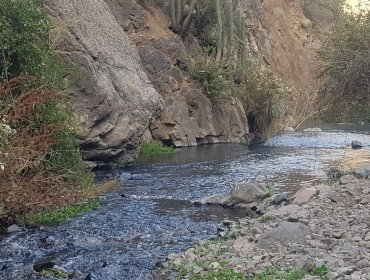 Nuevo espacio protegido en la región Metropolitana: Estero del Arrayán y sus afluentes son declarados como Humedal Urbano