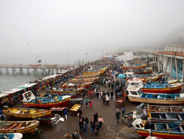 Dan inicio a obras de reparación en infraestructura de la Caleta Portales de Valparaíso