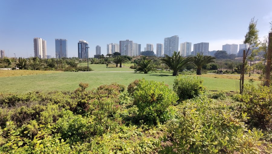 Revelan detalles desconocidos de proyecto de 139 departamentos que involucra a familiares del líder de Greenpeace-Chile en Reñaca