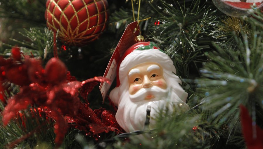 Se cae compra de árbol de Navidad más caro de Chile tras denuncia a Contraloría