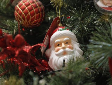 Se cae compra de árbol de Navidad más caro de Chile tras denuncia a Contraloría