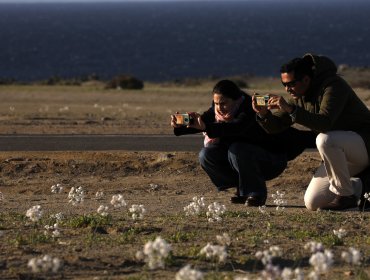 Chile se consagra como destino destacado en los Óscar del Turismo 2025