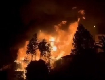 Confirman cuatro viviendas afectadas por incendio en sector Forestal Alto de Viña del Mar: siniestro se encuentra "confinado"