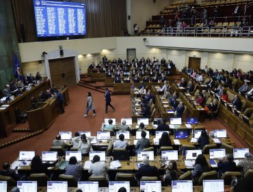 Despachan a ley el proyecto que endurece los requisitos para que migantes puedan votar en elecciones